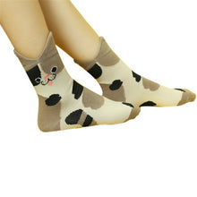 Funny Socks Unique Women Girls Cartoon Cute Animal Cat Cotton Warm Socks Cotton calcetines meias Leg Warmers IMY66