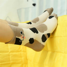 Funny Socks Unique Women Girls Cartoon Cute Animal Cat Cotton Warm Socks Cotton calcetines meias Leg Warmers IMY66