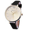Geneva PU Leather Strap Watch Women Geneva Watch Ladies Watches Casual Quartz Watch Reloj Mujer Relogio Feminino IMY66
