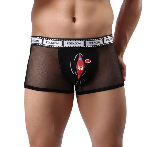 Men Sexy Lingerie Through Mesh boxer shorts chiffon panties Briefs Hollow Out Underwear Plus Size IMY66
