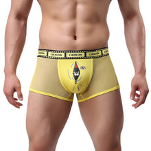 Men Sexy Lingerie Through Mesh boxer shorts chiffon panties Briefs Hollow Out Underwear Plus Size IMY66