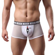 Men Sexy Lingerie Through Mesh boxer shorts chiffon panties Briefs Hollow Out Underwear Plus Size IMY66