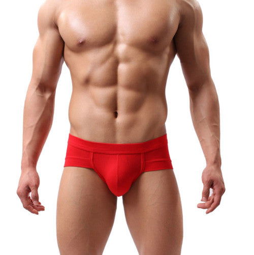 Men Sexy Underwear Men's Briefs Bulge Pouch Soft Underpants 12Colors L XL XXL IMY66