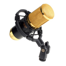 Sound Studio Dynamic Mic + Shock Mount BM800 Condenser Microphone IMY66