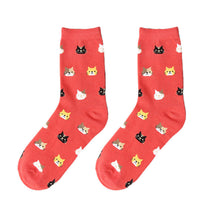 Funny Socks For Women Men Casual Cotton Socks Lovely Animal Cat Socks Socks calcetines mujer IMY66